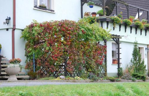 Ferienwohnung Henker Bad Schandau allemagne