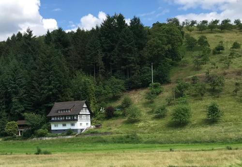 Appartement Ferienwohnung Hesselbach 9 Hesselbach Erdgeschoss Oberkirch