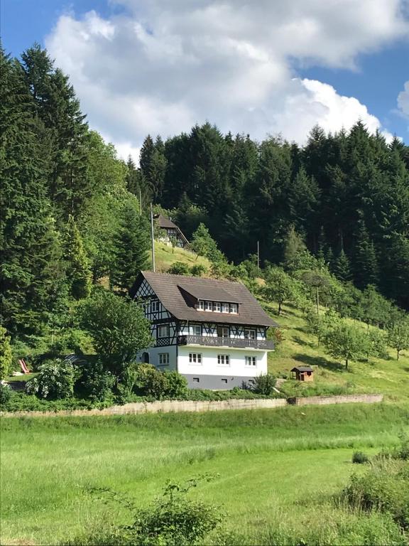 Appartement Ferienwohnung Hesselbach 9 Hesselbach Erdgeschoss, 77704 Oberkirch