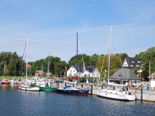 Appartements Ferienwohnung Hiddensee Hitthim Kloster/Hiddensee Kloster