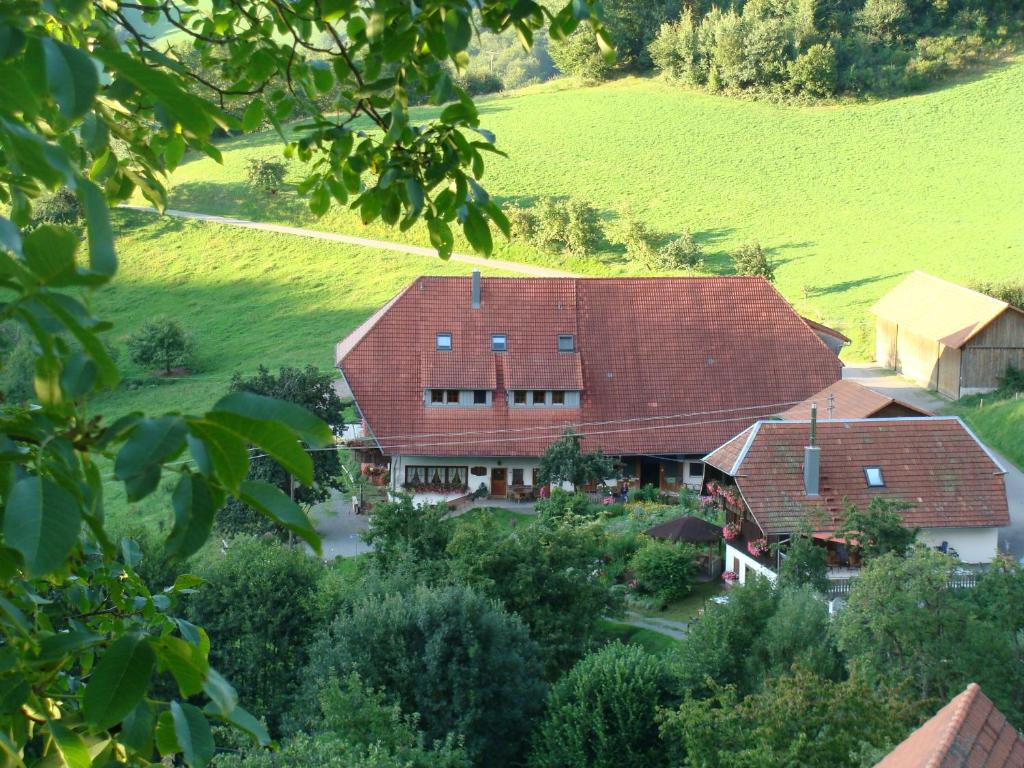 Appartement Ferienwohnung HOF 40 Büchern, 77796 Mühlenbach