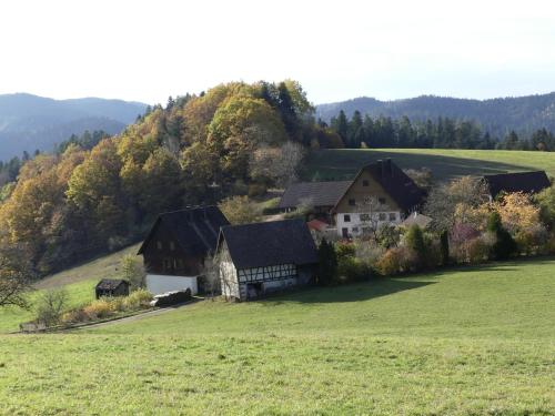 Ferienwohnung Höfenhof Schiltach allemagne