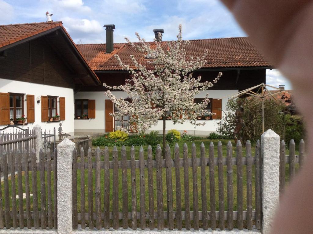 Appartement Ferienwohnung Hörmann 25 Pointenstraße, 94264 Langdorf im Landkreis Regen