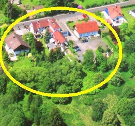 Ferienwohnung Hortensie Pension Grünes Paradies Grebenhain allemagne