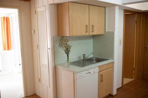 Appartements Ferienwohnung-Ihle Olbernhau 50 Hüttengrund Olbernhau