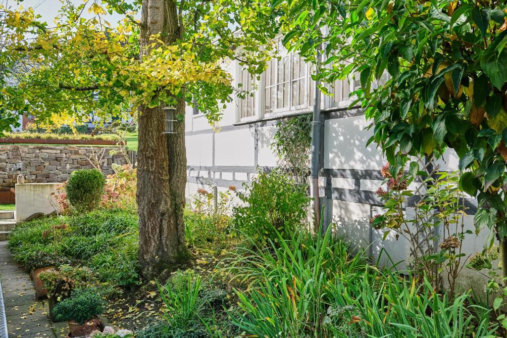 Appartement Ferienwohnung im Fachwerkhof 'Haus in Bewegung' Breite Str. 52, 53819 Seelscheid