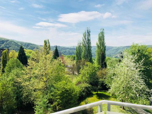 Ferienwohnung im Haus \ Bad Ems allemagne