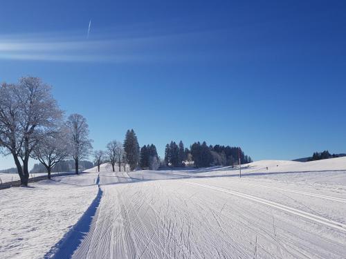 Appartement Ferienwohnung im kuhlen Allgäu 1 Weissenberg Missen-Wilhams