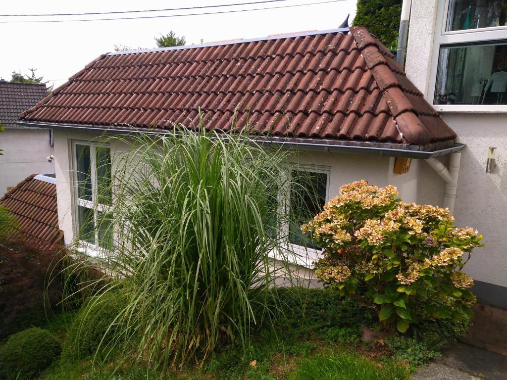 Appartement Ferienwohnung im Naturpark Rhein-Westerwald Mittlerer Bornsweg 5 Ferienwohnung mit separaten Eingang, 56579 Rengsdorf