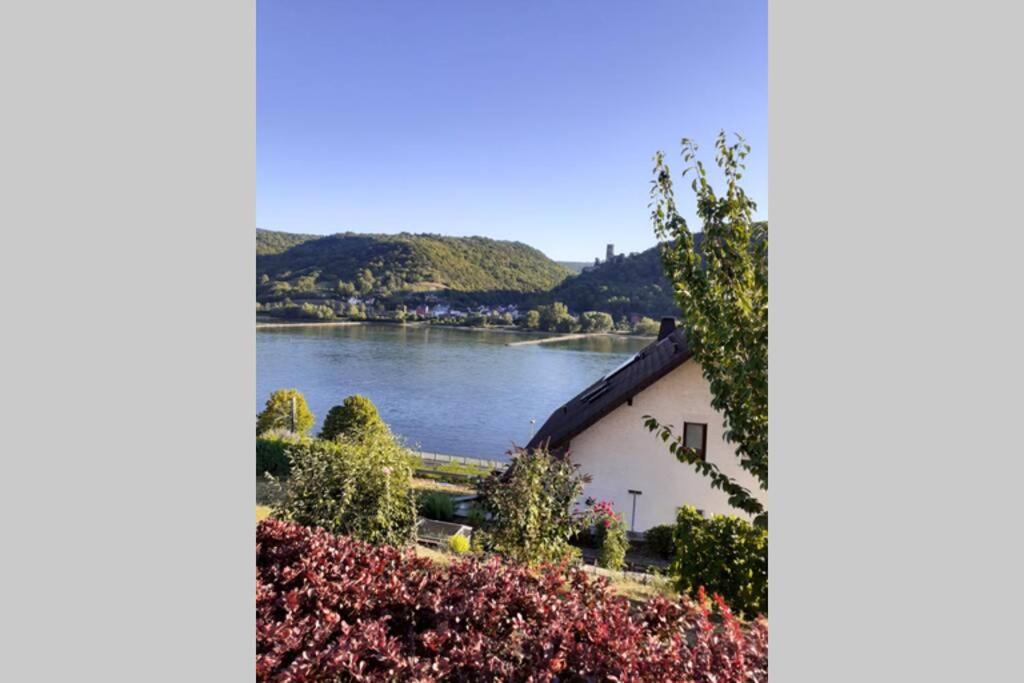 Appartement Ferienwohnung im Weltkulturerbe Mittelrhein Lorch 73 Am Rebenhang, 65391 Lorchhausen