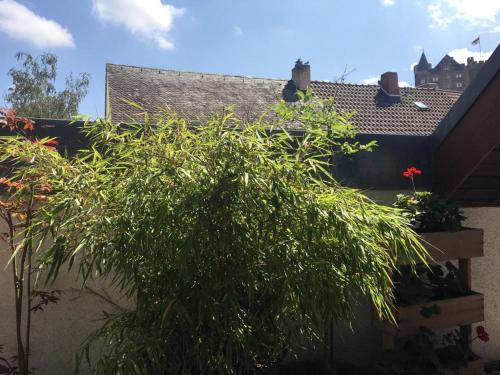 Ferienwohnung in Binger Stadtmitte mit Balkon Bingen am Rhein allemagne