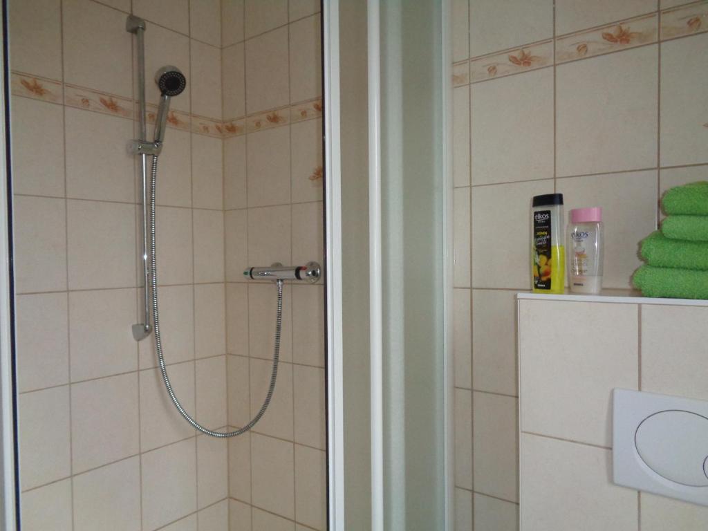 Appartement Ferienwohnung in der Altstadt von Coswig Anhalt 18 Neue Straße, 06869 Coswig