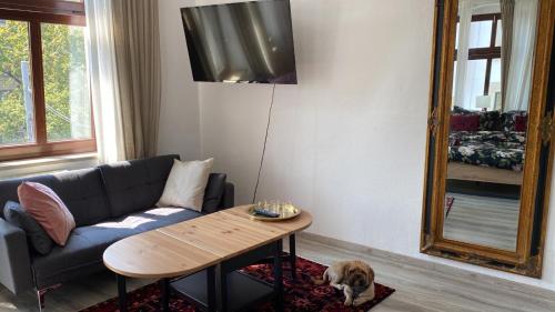 Appartements Ferienwohnung in Erfurt am Dom 37 Andreasstraße Erfurt