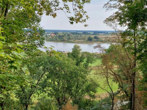 Ferienwohnung in Hitzacker Hitzacker allemagne