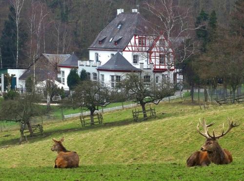 Ferienwohnung in Lahnstein am Rhein Lahnstein allemagne