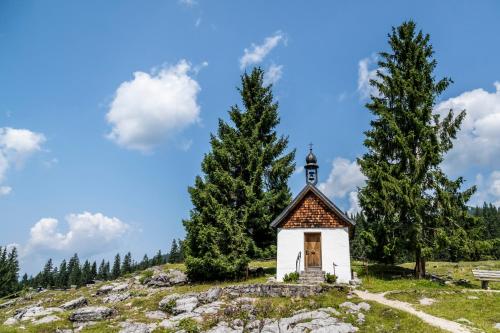 Ferienwohnung in Unterwirts Almhütte auf der Winklmoosalm Reit im Winkl allemagne