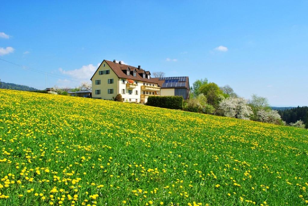 Appartements Ferienwohnung Kappauf / Petrik Bärnhöhe 6, 95688 Friedenfels