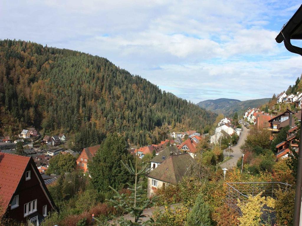 Appartement Ferienwohnung King Im Sägedobel 32, 78098 Triberg im Schwarzwald