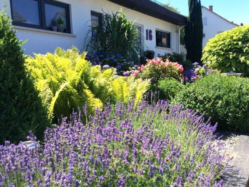 Appartement Ferienwohnung Kirschenlohr Höhenstraße 16 Ober-Abtsteinach