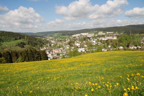 Ferienwohnung Körnerberg Klingenthal allemagne