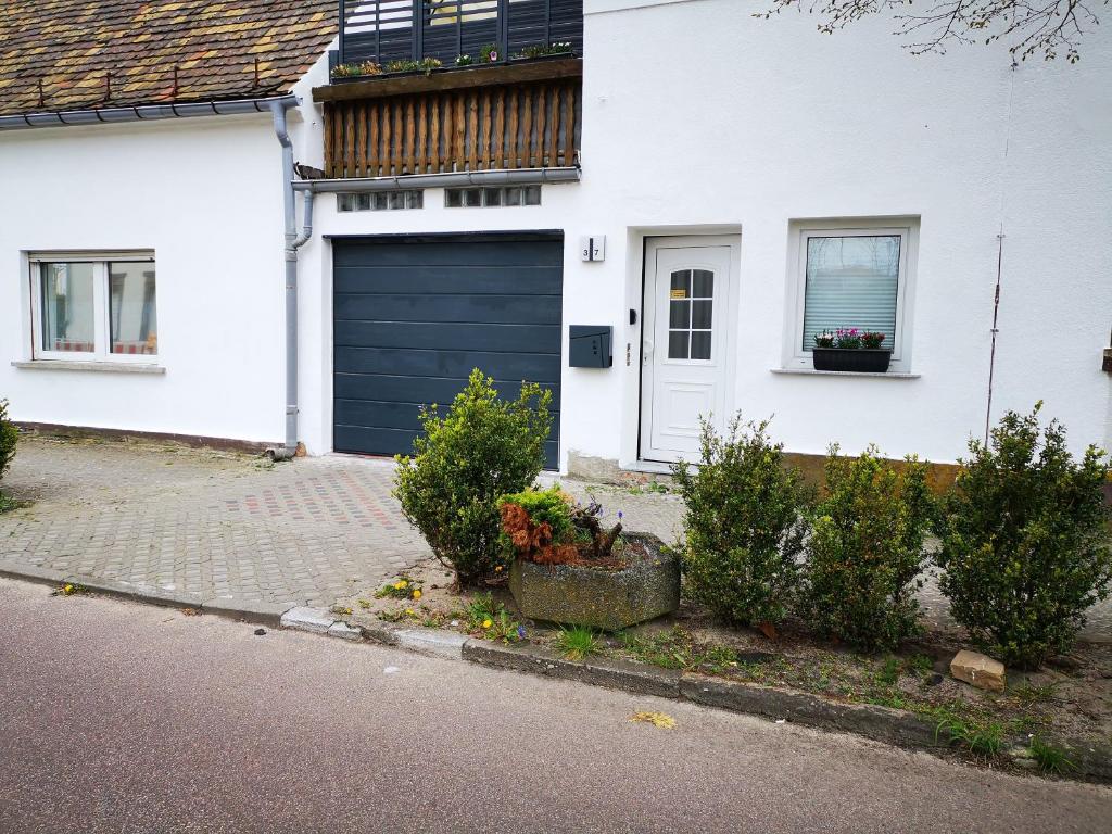 Appartement Ferienwohnung Künstler Karlo 37 Geschwister-Scholl-Straße, 06869 Coswig