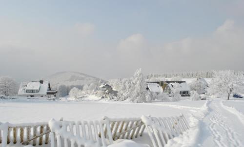 Ferienwohnung Lenneplätze Winterberg allemagne