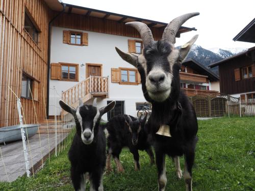 Appartement Ferienwohnung Lexar Hüs Oberstdorf Oststr. 25 Oberstdorf