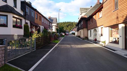 Ferienwohnung Louise Klingenthal allemagne