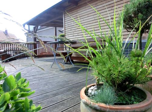Appartement Ferienwohnung Makowitschka Hügelweg 12 Kreischa