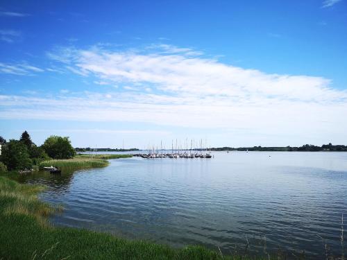 Appartement Ferienwohnung Marina Am Yachthafen 4 Lindaunis