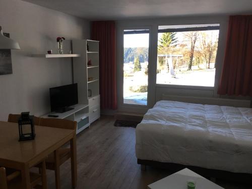 Appartement Ferienwohnung Marion 3 Am Predigtstuhl Sankt Englmar