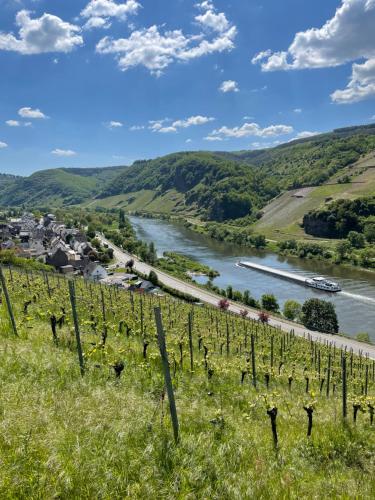 Appartement Ferienwohnung Metzen Moselstraße 15 Burg an der Mosel