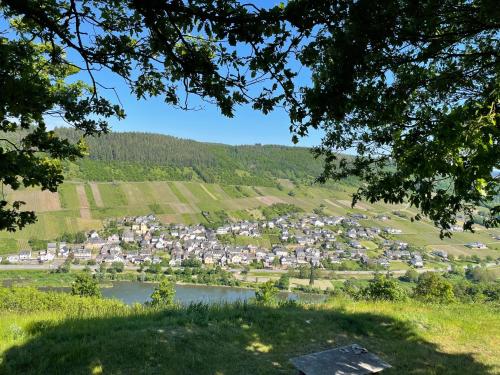 Ferienwohnung Metzen Burg an der Mosel allemagne