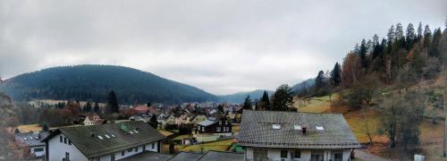 Ferienwohnung mit Aussicht Enzklösterle allemagne