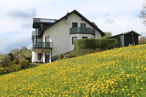 Ferienwohnung Moos-Hochsauerland Wiemeringhausen allemagne