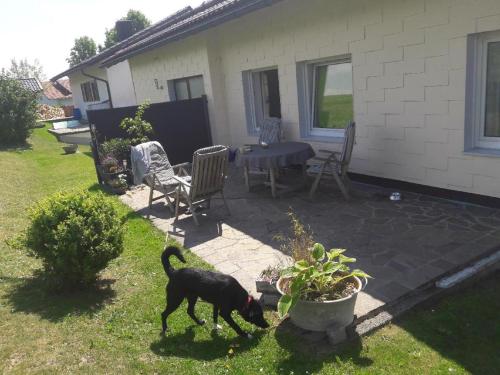 Ferienwohnung Neth Freyung allemagne