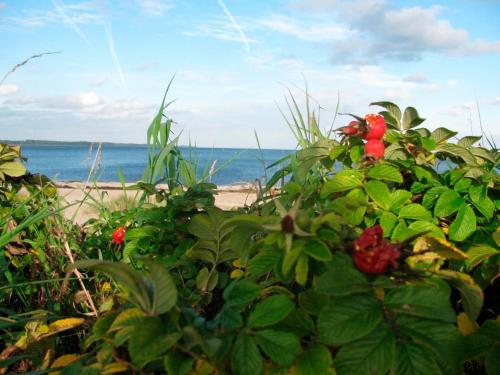 Ferienwohnung Oelstorf Eckernförde allemagne