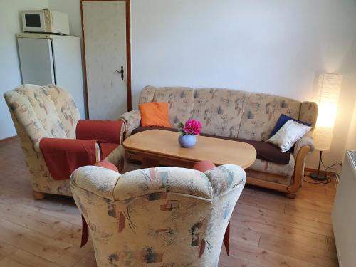 Ferienwohnung Ost - Alte Schule Sachswitz Greiz allemagne