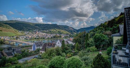 Appartement Ferienwohnung Panorama Moselblick 53 Unter den Weinbergen Treis-Karden