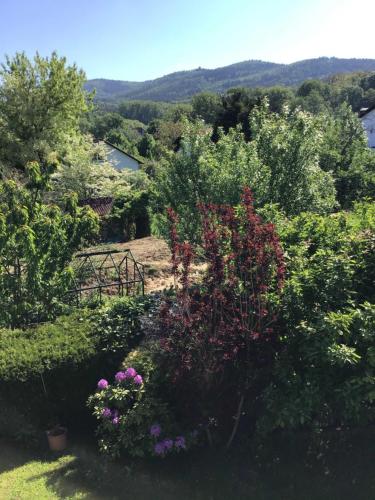 Ferienwohnung Panoramablick Rimbach allemagne