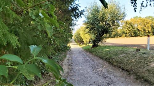 Ferienwohnung Poeler Möwe Poel allemagne