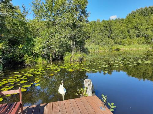 Appartement Ferienwohnung Prälank Prälank-Kalkofen 3a Neustrelitz