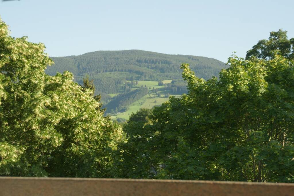 Appartement Ferienwohnung Rappeneck-Blick nur für Urlauber Dr.Gremmelsbacher-Str. 4 II.OG, 79199 Kirchzarten