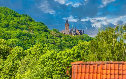 Appartement Ferienwohnung Reichel Ziegelbergsweg 7 Wernigerode