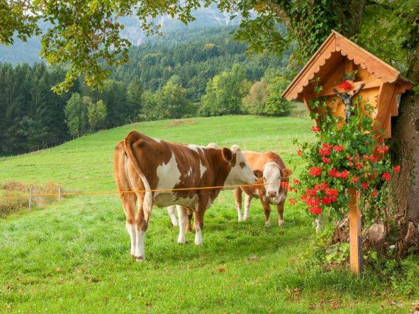 Appartement Ferienwohnung Reiter Unterberg 10, 83454 Anger