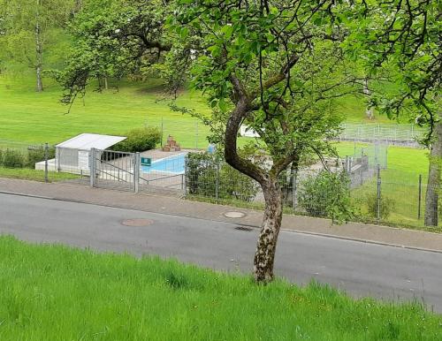 Ferienwohnung Rhododendron - Natur pur Kinderparadies Rotenburg an der Fulda allemagne