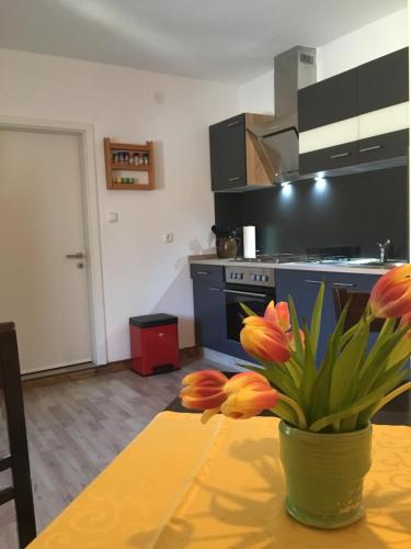 Appartement Ferienwohnung Richtermühle An der Richtermühle 1 Saupsdorf