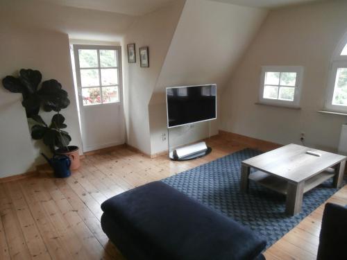 Ferienwohnung Saaleblick Halle-sur-Saale allemagne