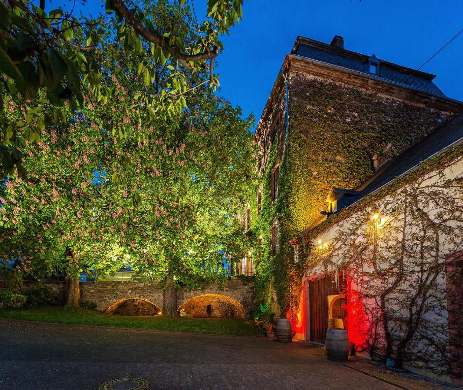 Appartement Ferienwohnung Sauvignon Blanc Weingut Zur Burg 2 Burgweg, 54340 Klüsserath