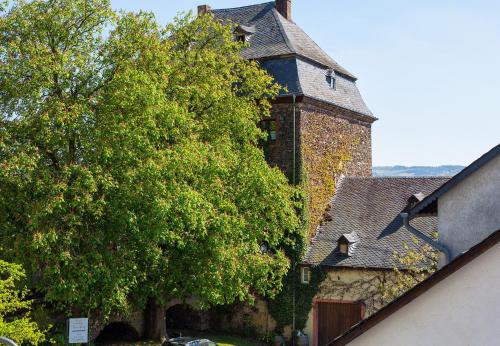 Ferienwohnung Sauvignon Blanc Weingut Zur Burg Klüsserath allemagne